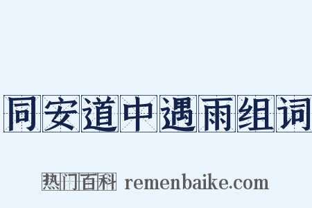 同安道中遇雨组词是什么意思的图片